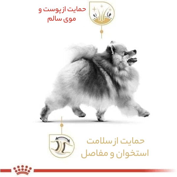 غذای خشک سگ رویال کنین مدل POMERANIAN ADULT وزن 1.5 کیلوگرم