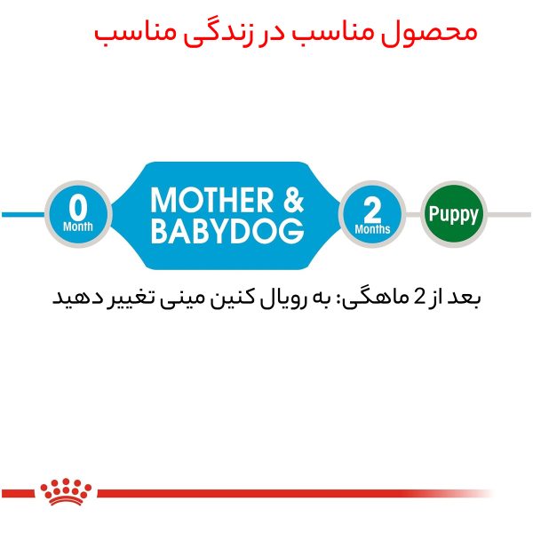 غذای خشک سگ رویال کنین مدل  MINI Starter mother and babydog وزن 4 کیلوگرم