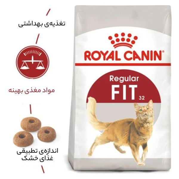 غذای خشک گربه رویال کنین مدل Regular Fit 32 وزن 2 کیلوگرم