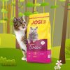 غذای خشک گربه جوسرا مدل JOSICAT STERILISED CLASSIC وزن 10 کیلوگرم